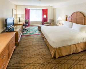 Hilton Sonoma - Standard Room