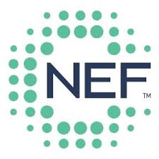 National Energy Foundation